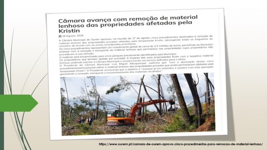 C&acirc;mara avan&ccedil;a com remo&ccedil;&atilde;o de material lenhoso das propriedades afetadas pela Kristin