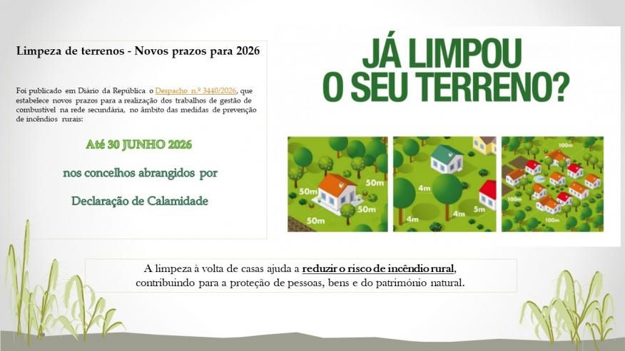 Limpeza de Terrenos